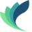 Gemini Solutions Pvt Ltd logo
